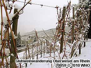 Mittelrhein Glühweinwanderung Oberwesel am Rhein